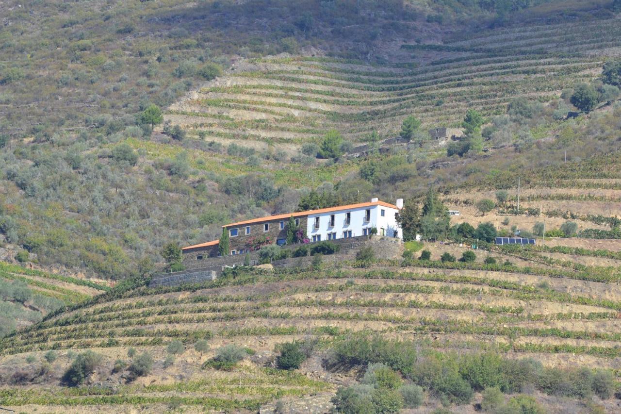 코바스도두오로 Quinta Da Veiga B&B 외부 사진
