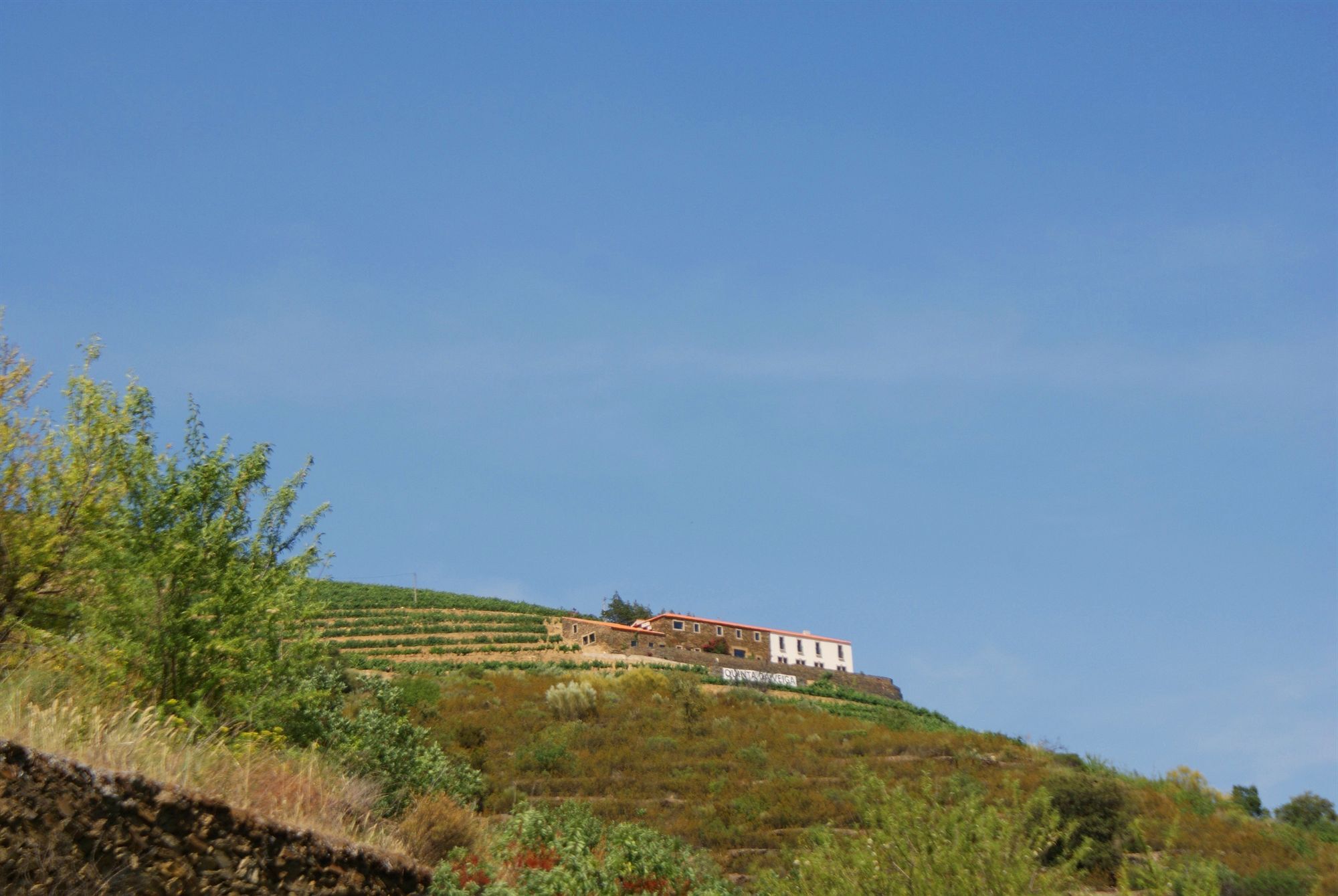 코바스도두오로 Quinta Da Veiga B&B 외부 사진